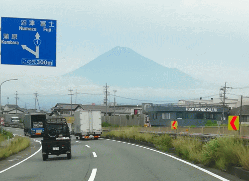 むーちんさんのブログ、29日アップの写真