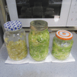 この頃、自家製ザワークラウトにはまっている