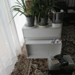 捨てる神あらば拾う神あり